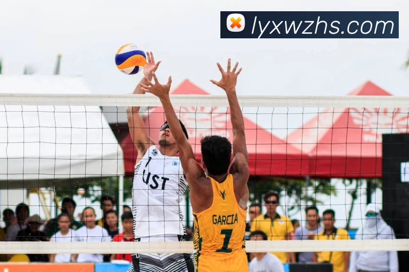 星空体育APP 封面图